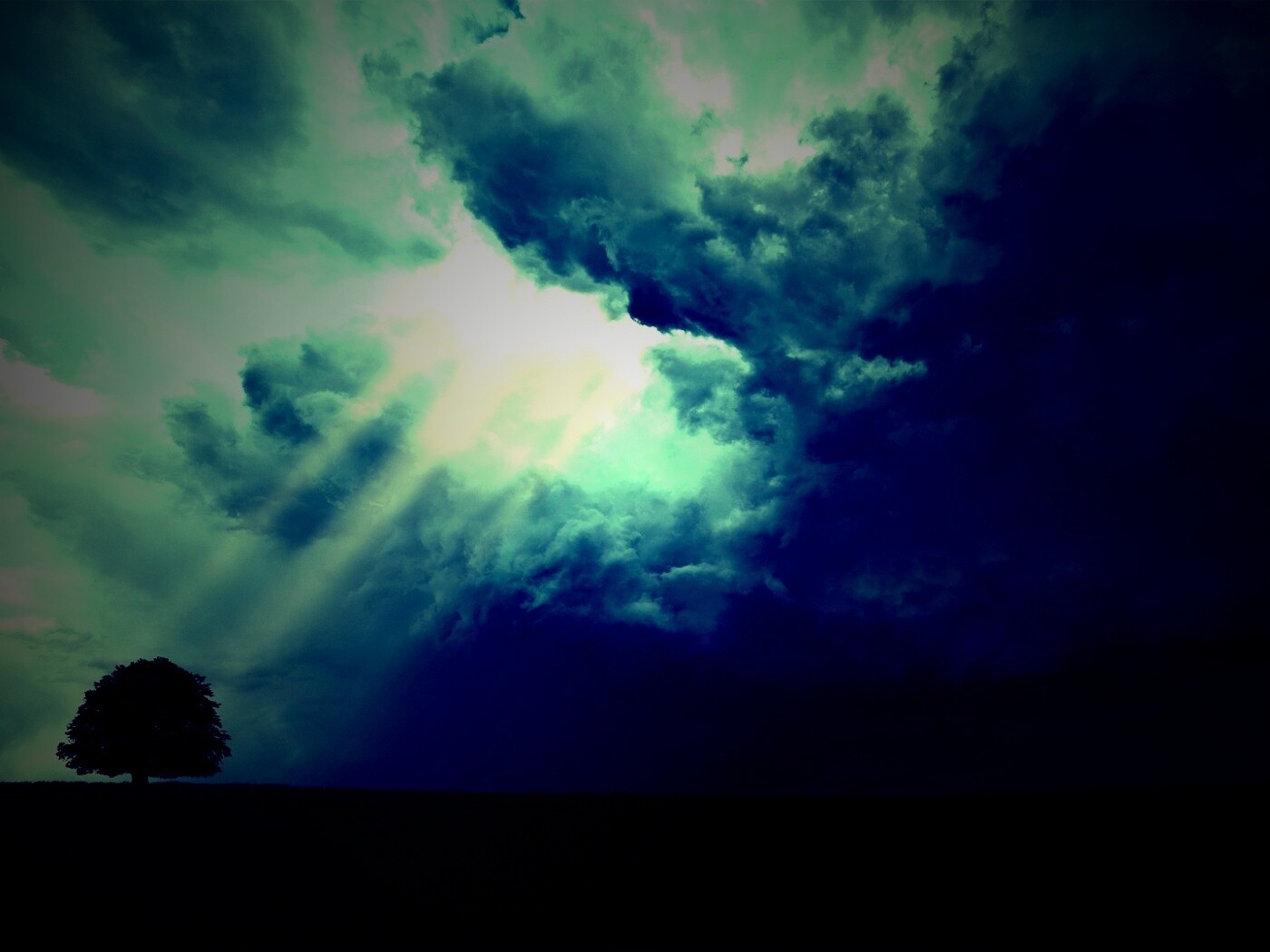 Избранный обои