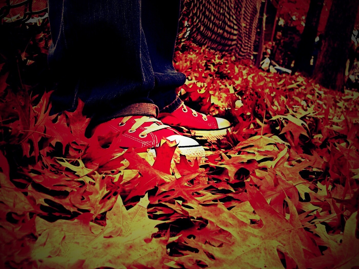 Оранжевые кеды обои