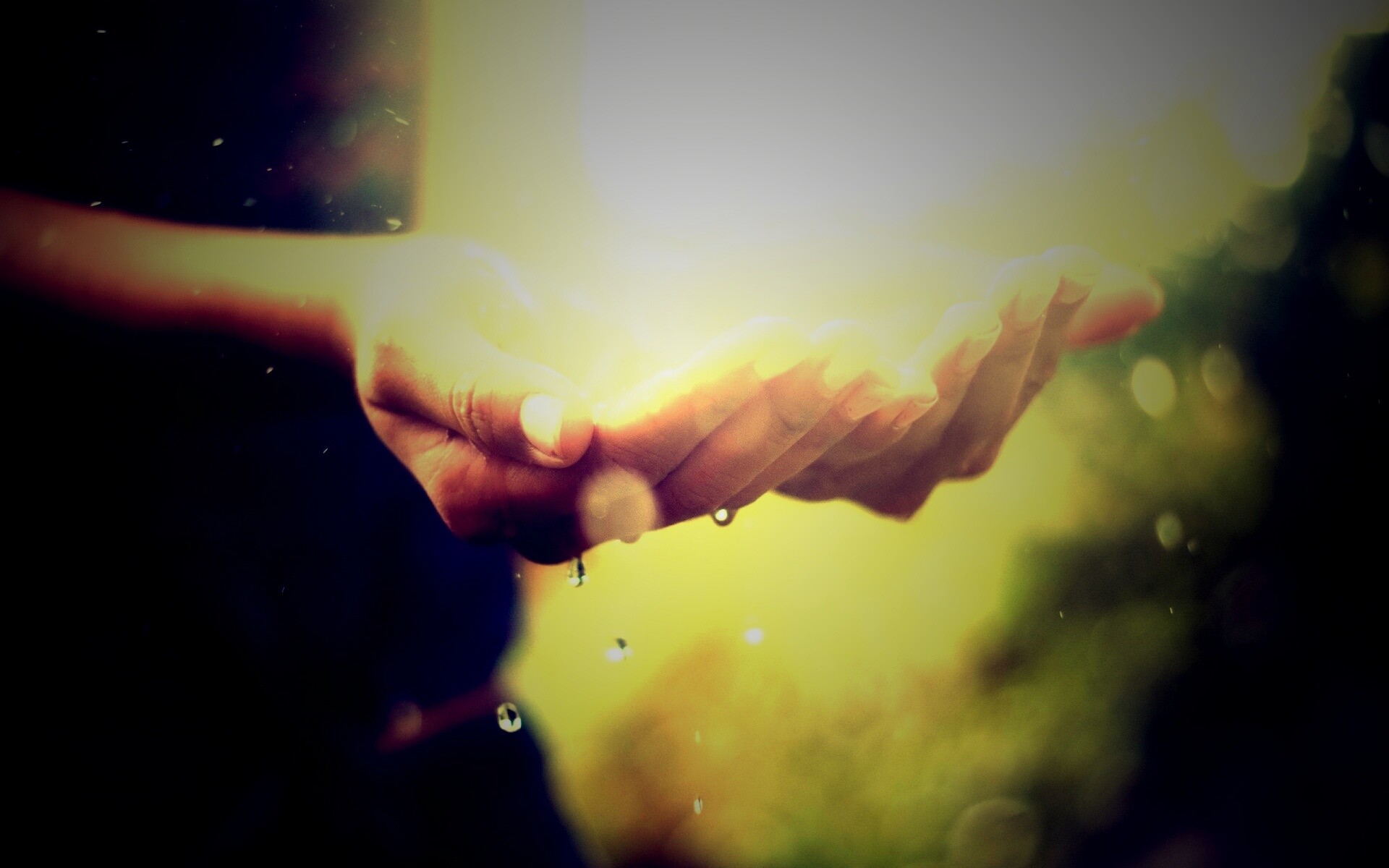 Дождь в ладонях обои