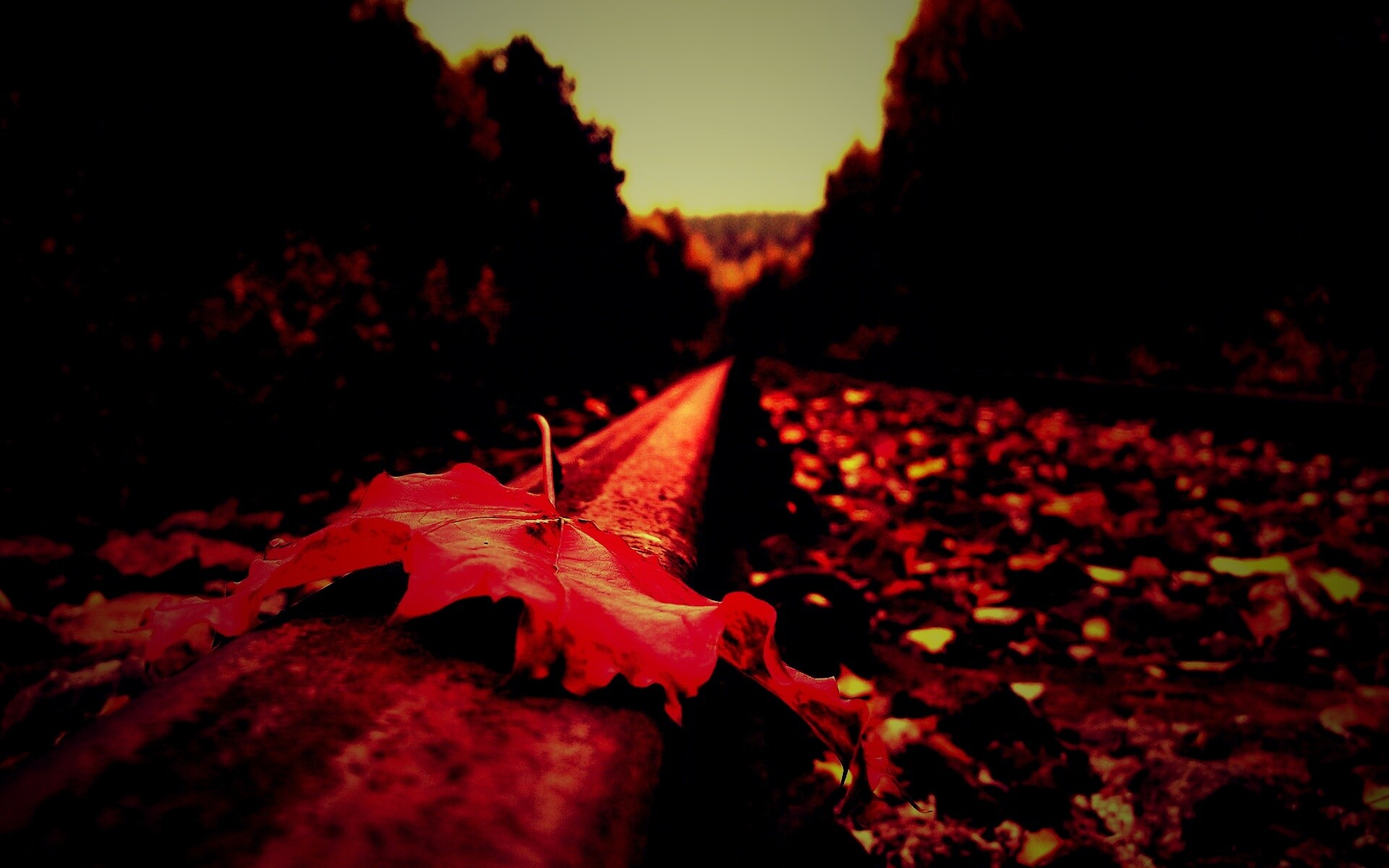 Ржавые рельсы обои