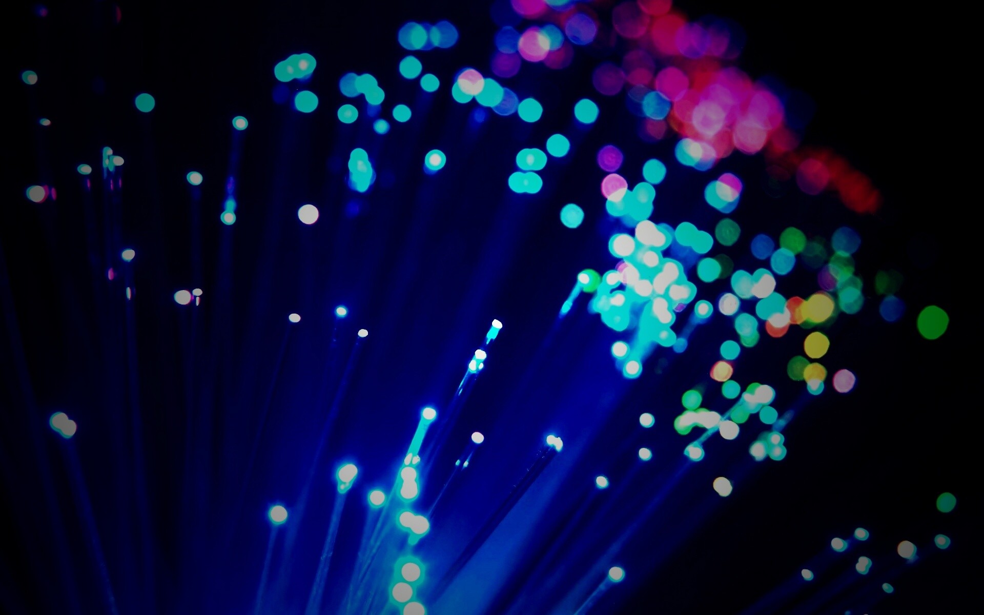 Огоньки на оптоволокне обои