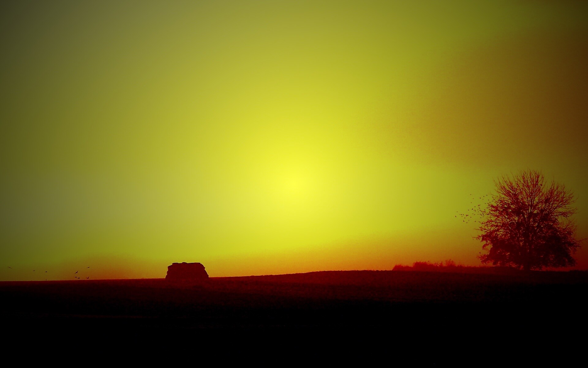 Убранное поле обои