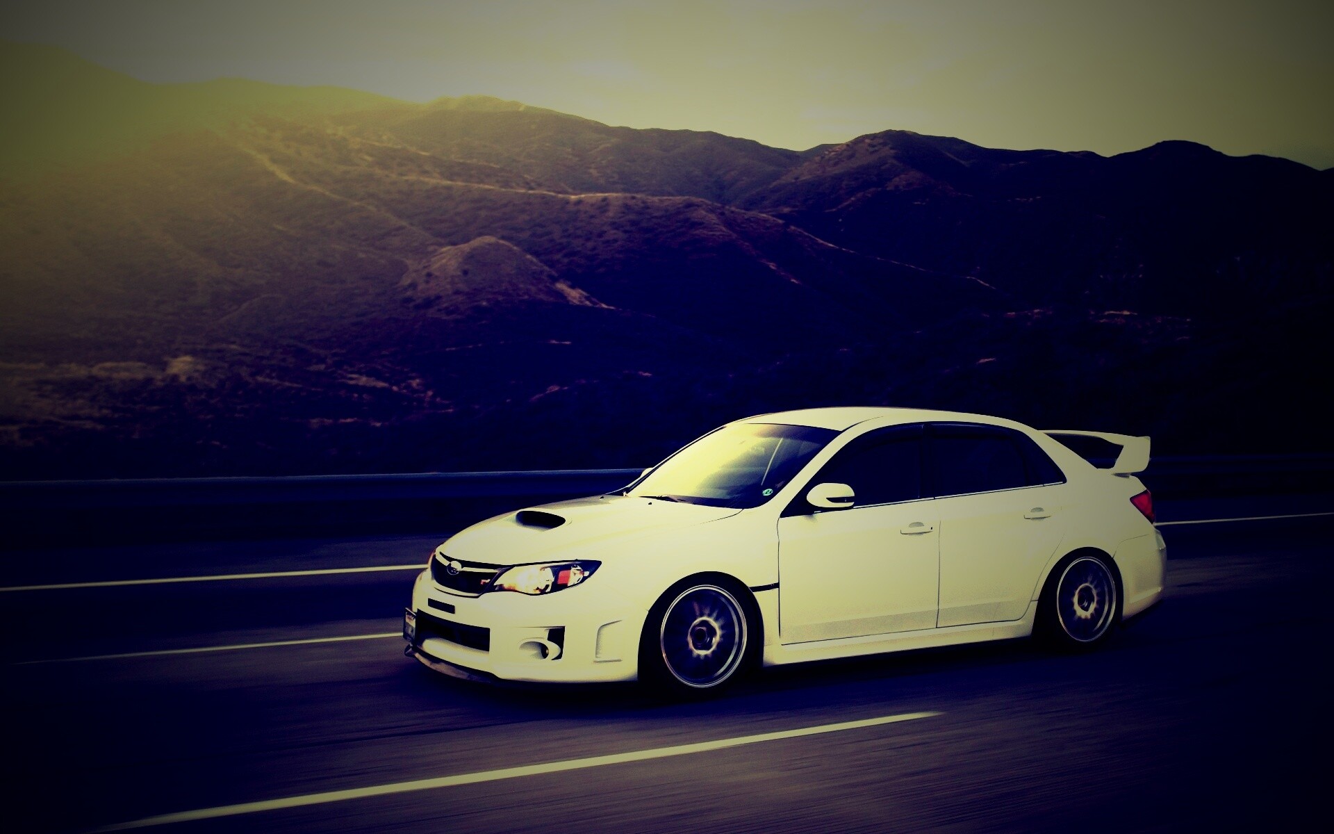 Белый субарь на тарссе обои