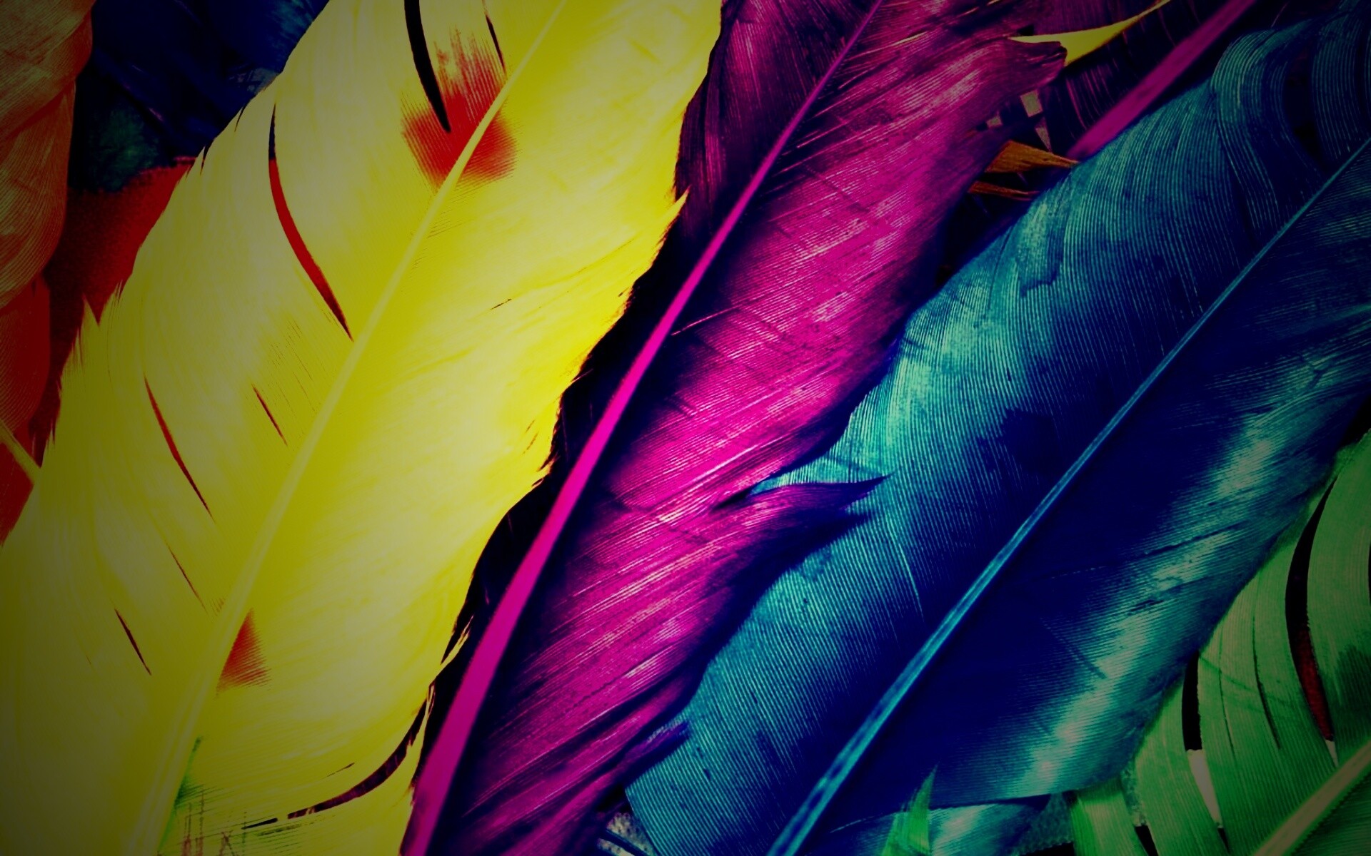 Разноцветные перья обои