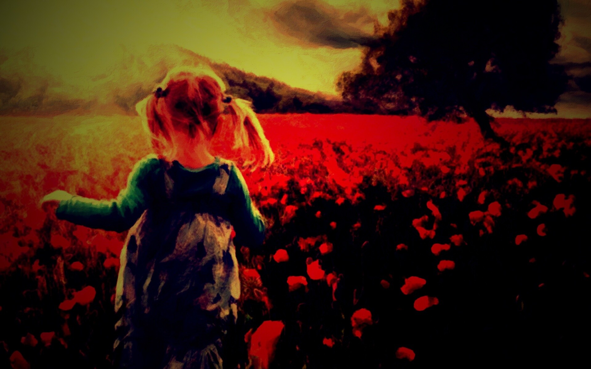 Девочка на маковом поле обои