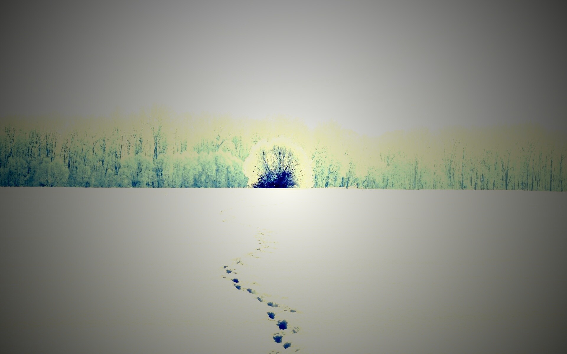 Следы на снегу обои