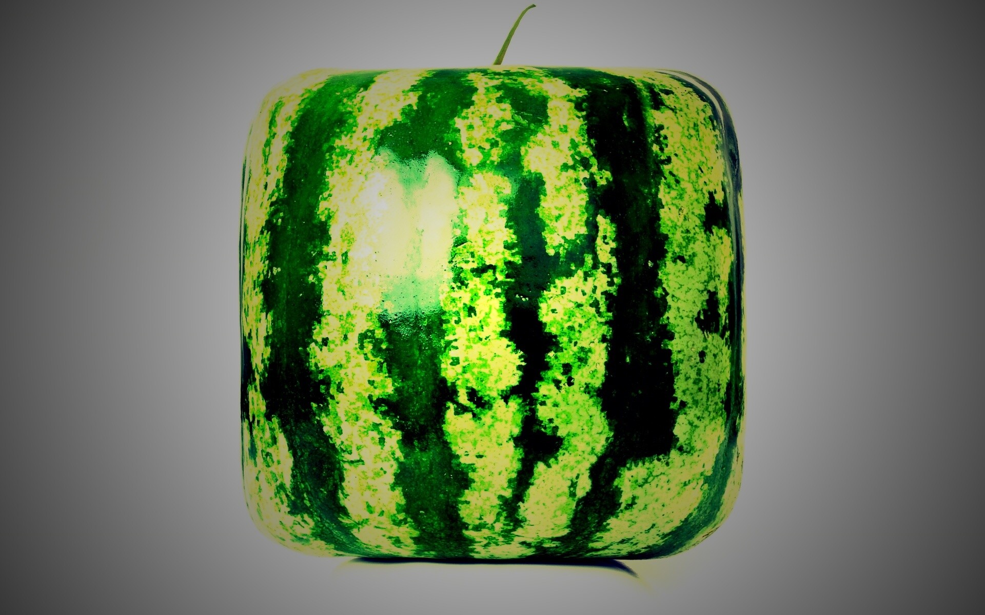 Квадратный арбуз обои