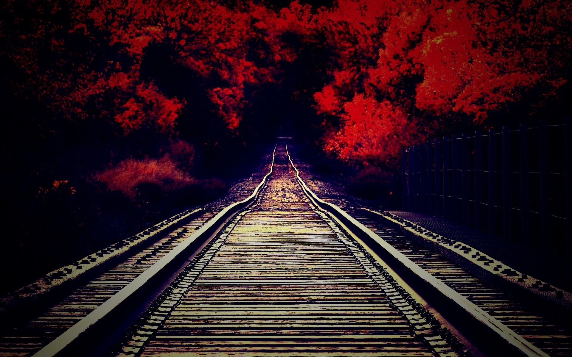 Железная дорога в осеннем лесу обои