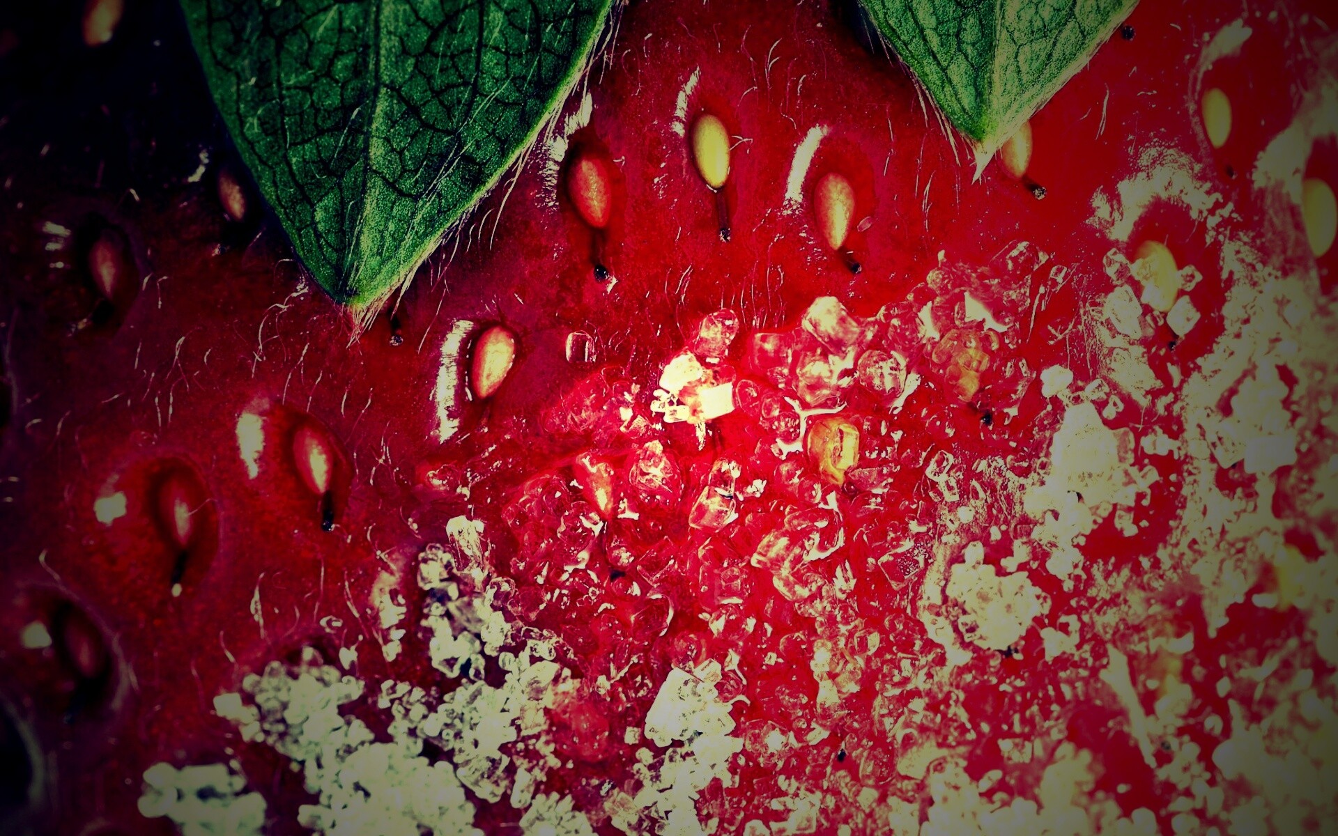 Клубника в сахаре обои