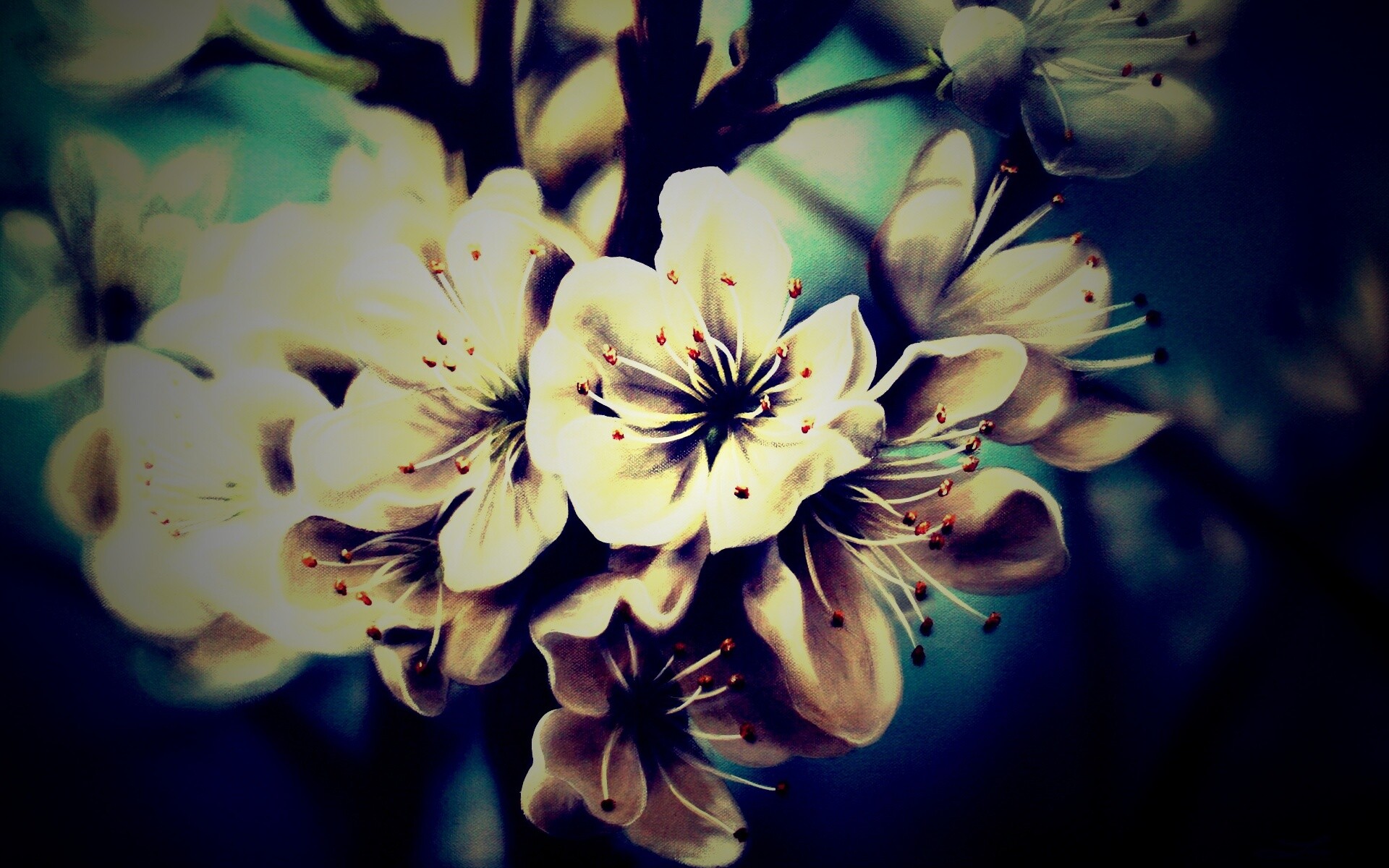 Яблоня в цвету картина обои