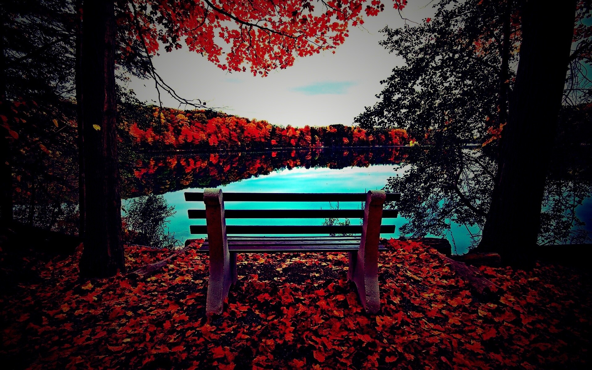 Вид на осеннее озеро обои