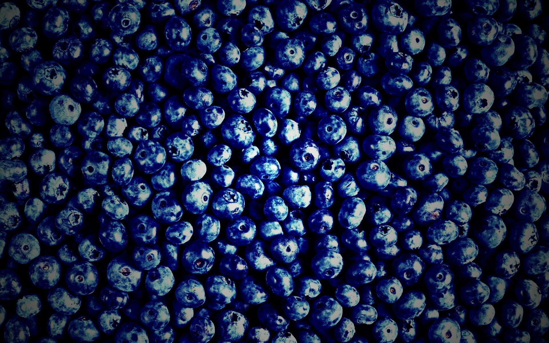 Черника обои