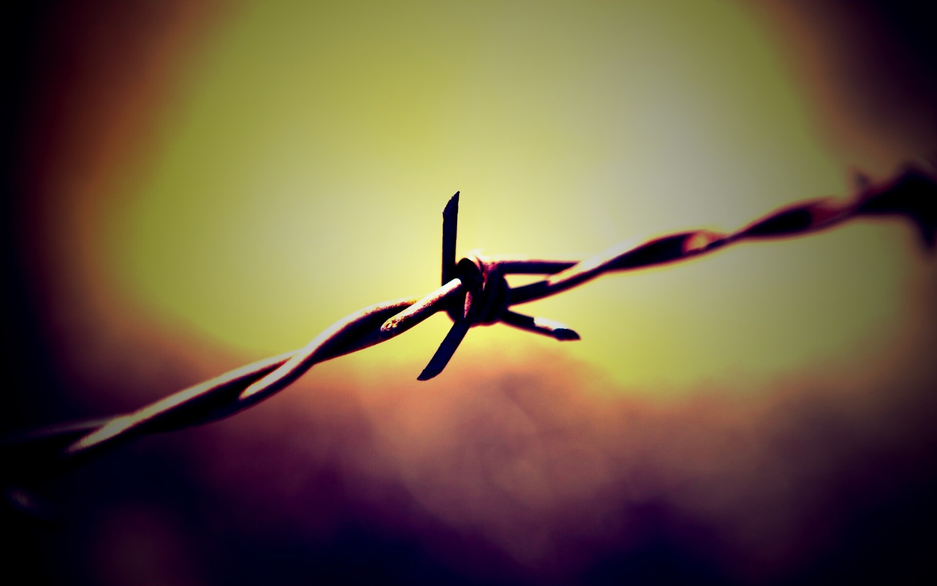 Фото колючей проволоки обои