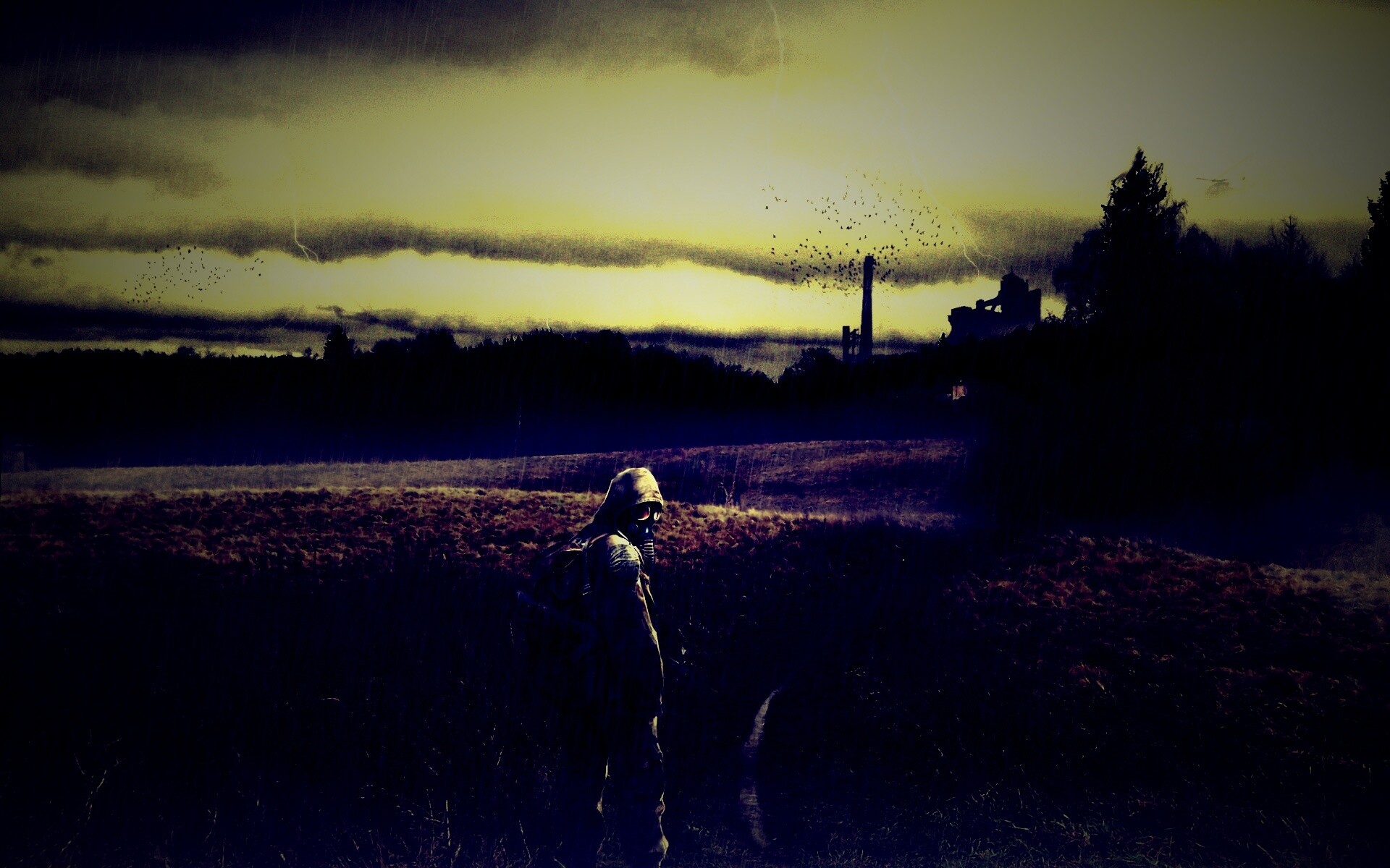 Сталкер под дождем обои
