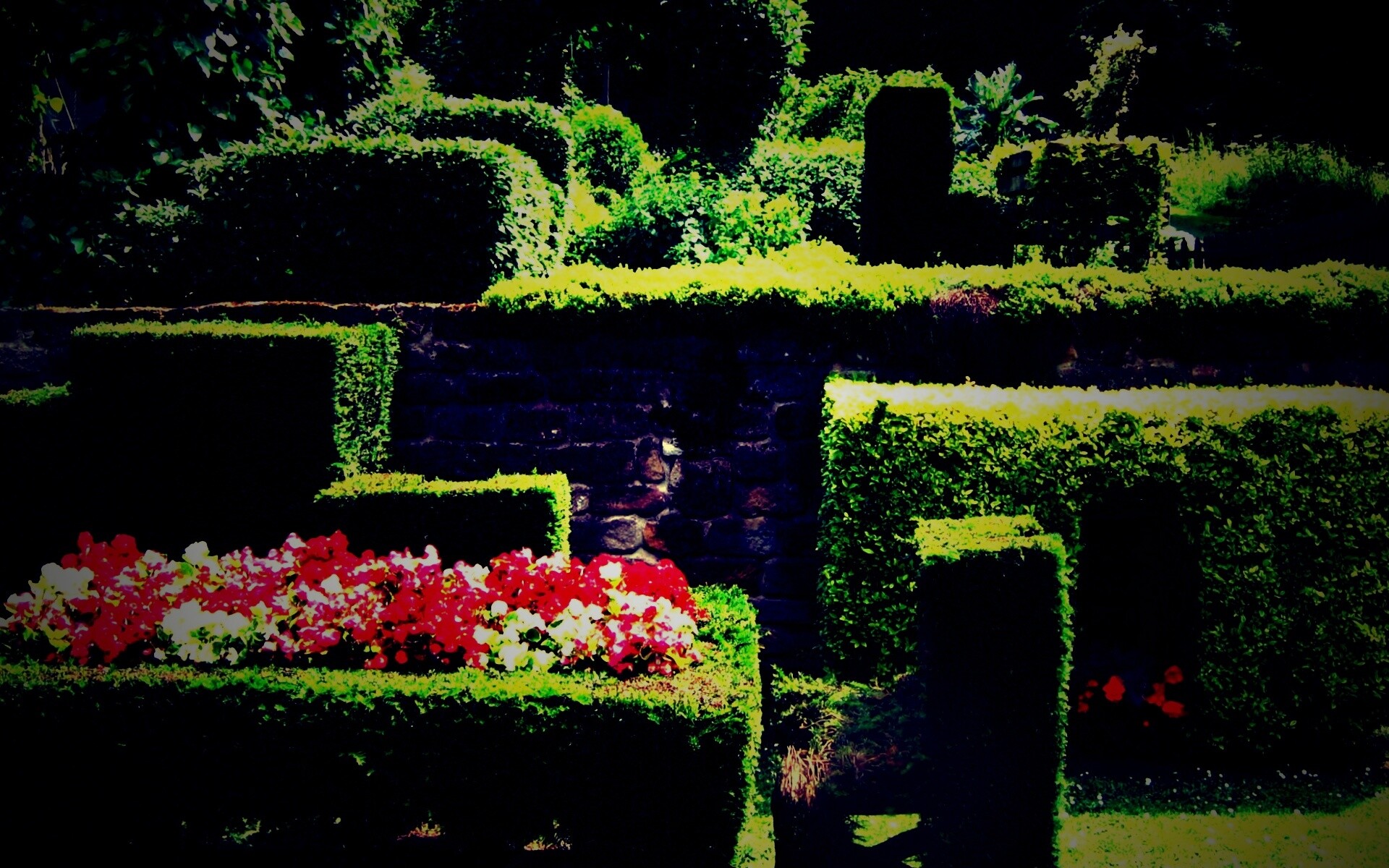 Декоративный сад обои