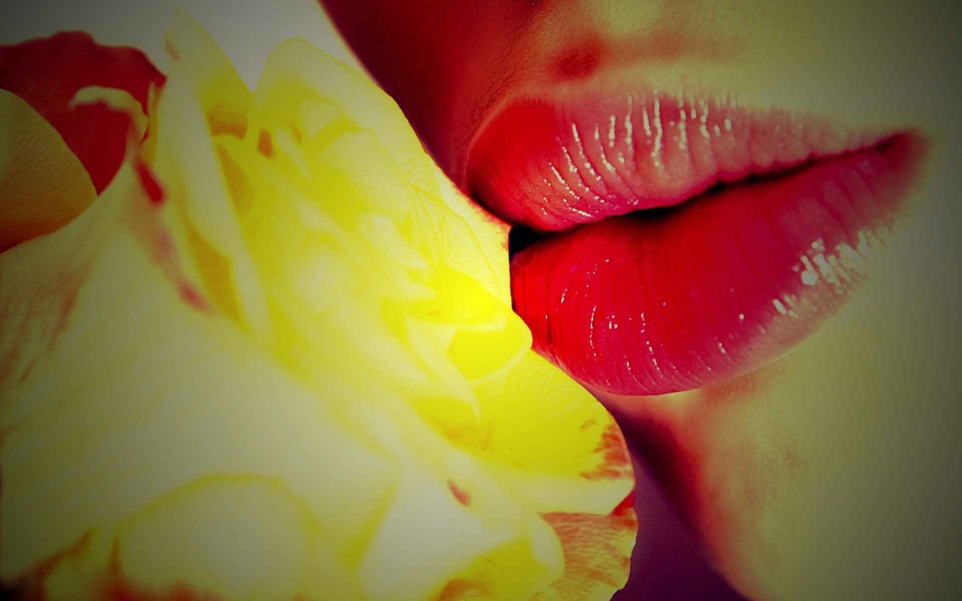 Губы девушки и роза обои