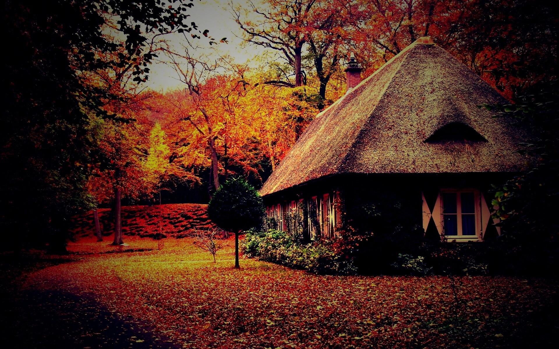 Домик в осеннем лесу обои