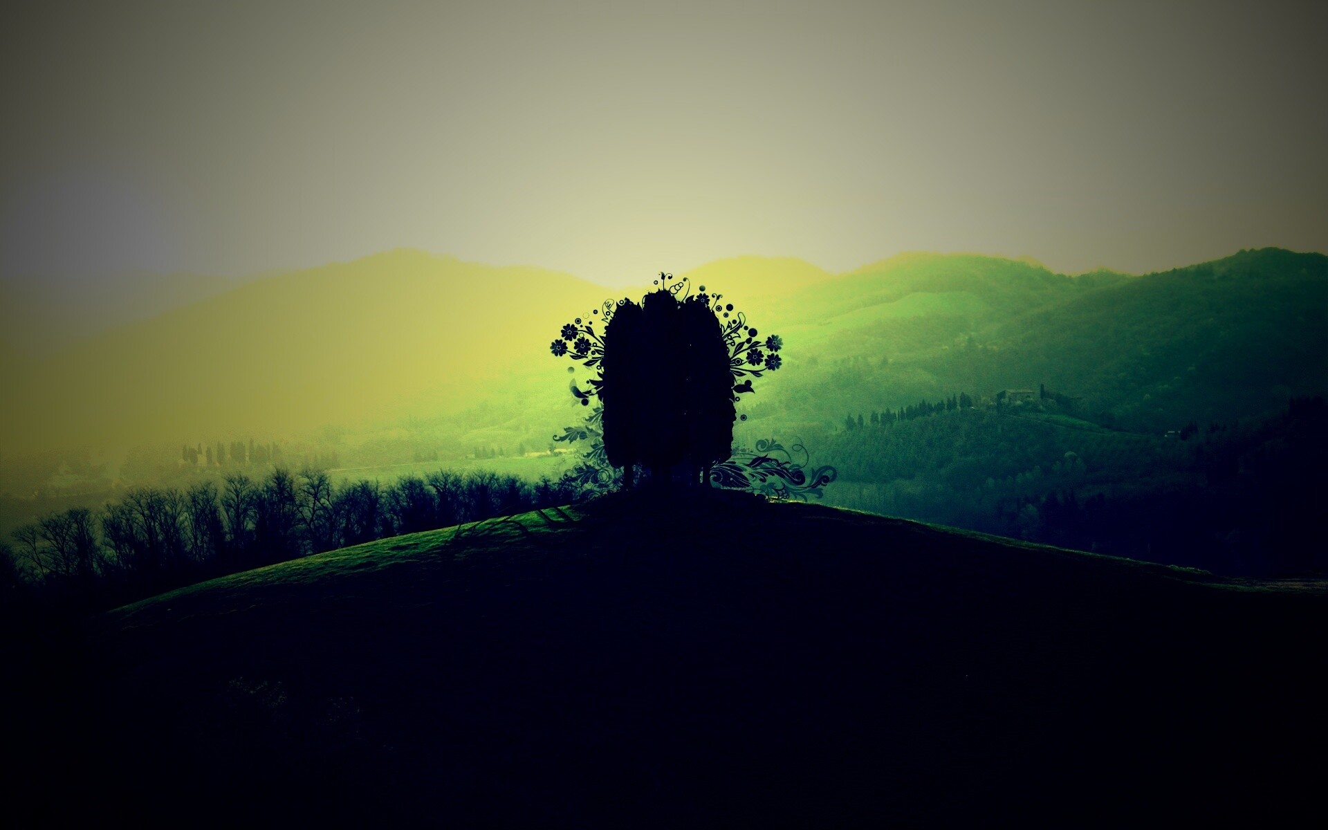 Деревья на холме обои