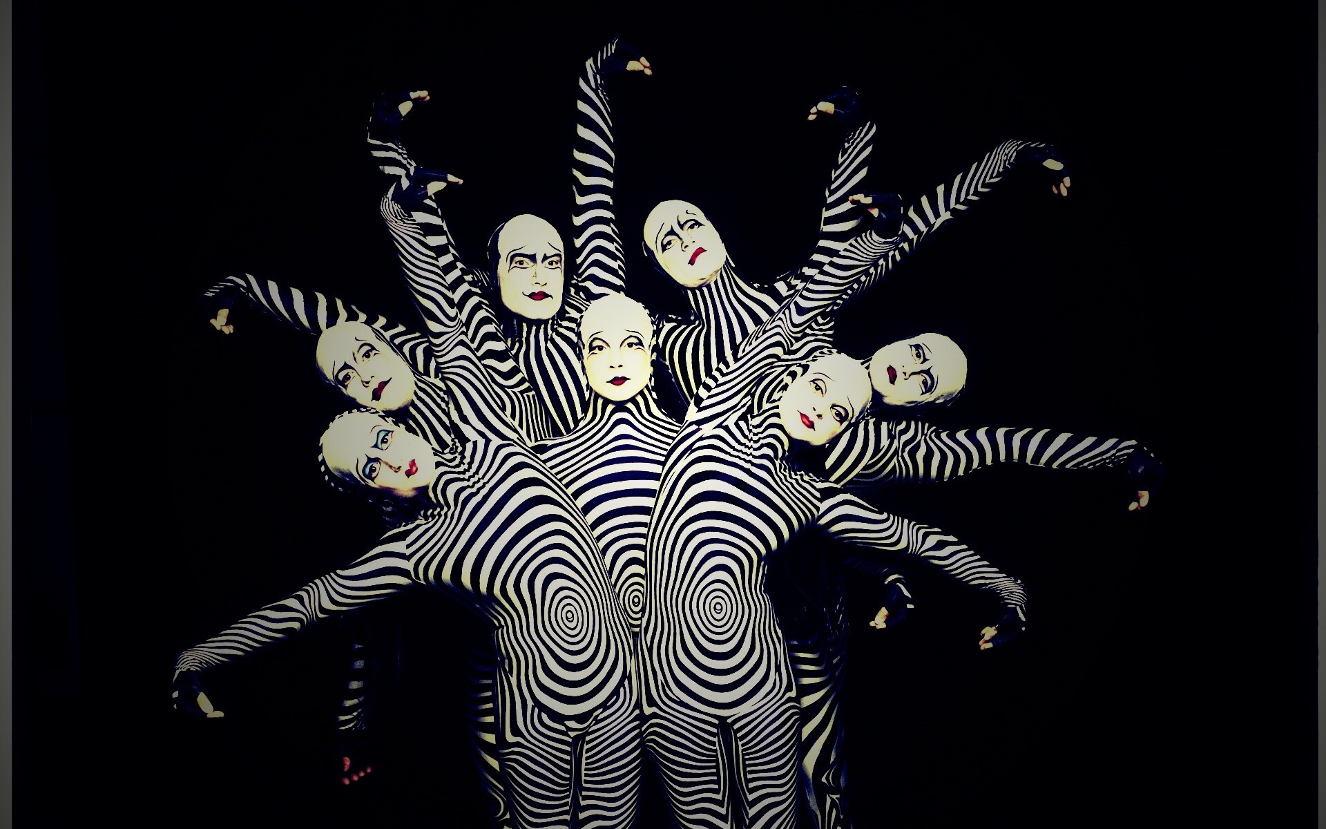 Зеброиды (актеры цирка дю солей) обои