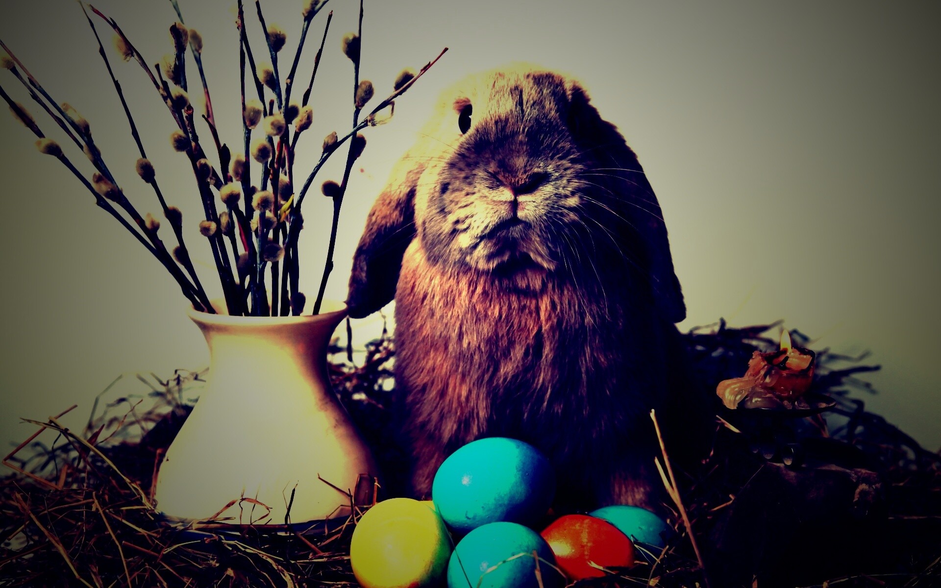 Пасхальный кролик обои