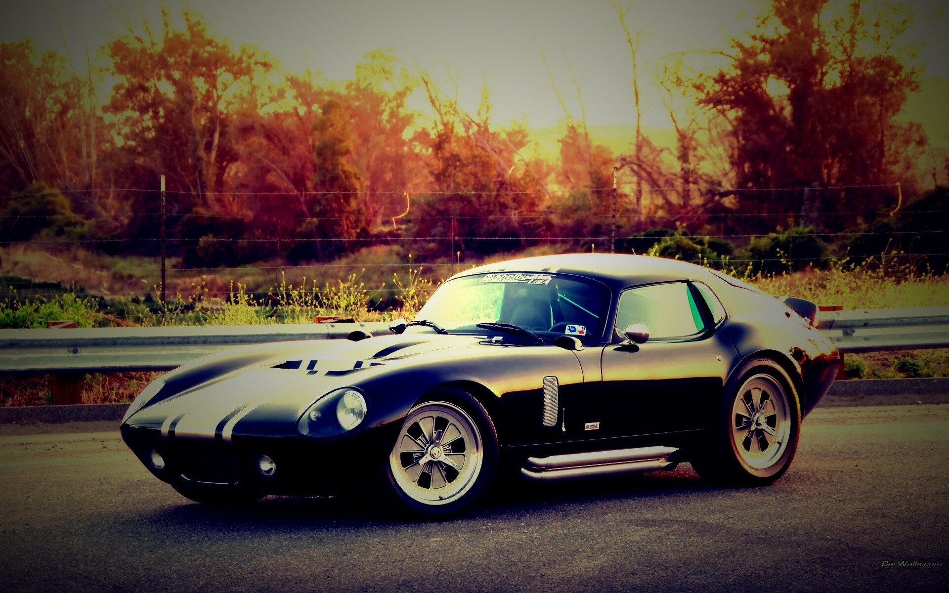 Shelby Daytona обои
