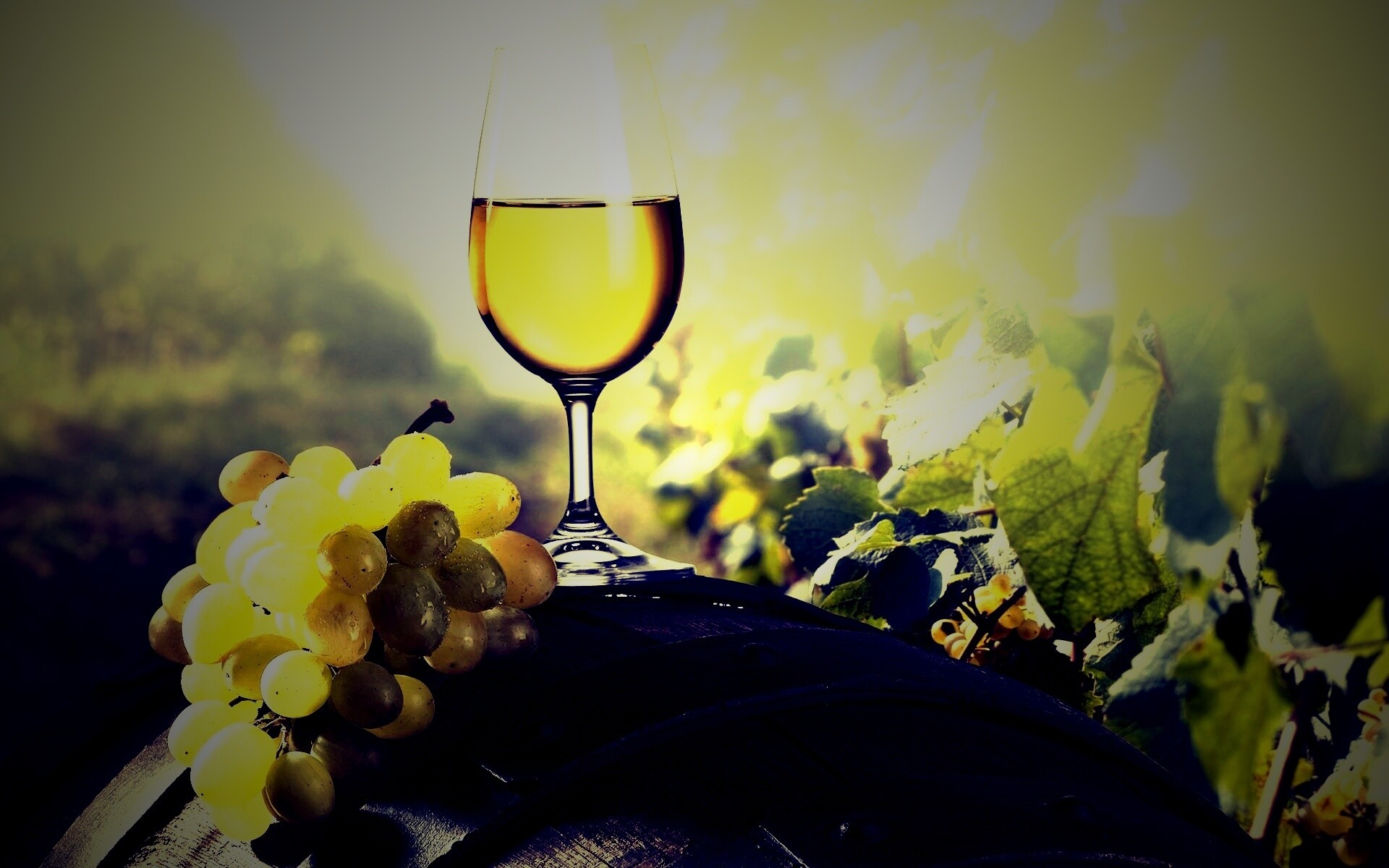 Винная бочка и бокал с белым вином обои