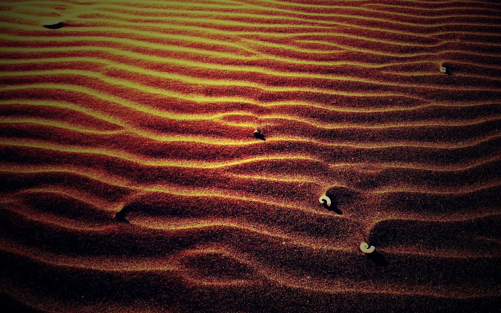 Песок и раковины обои