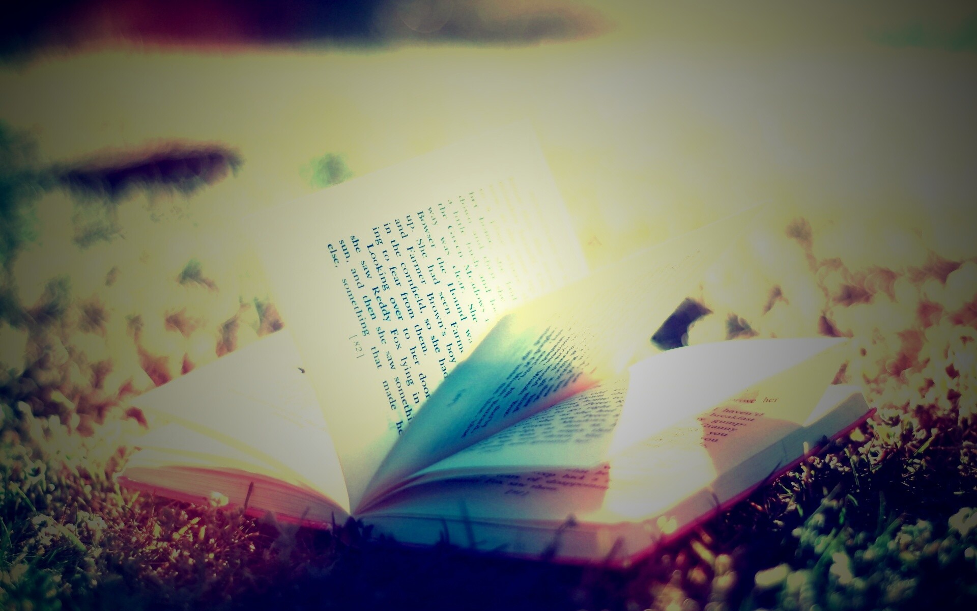 Книга в нежном свете обои