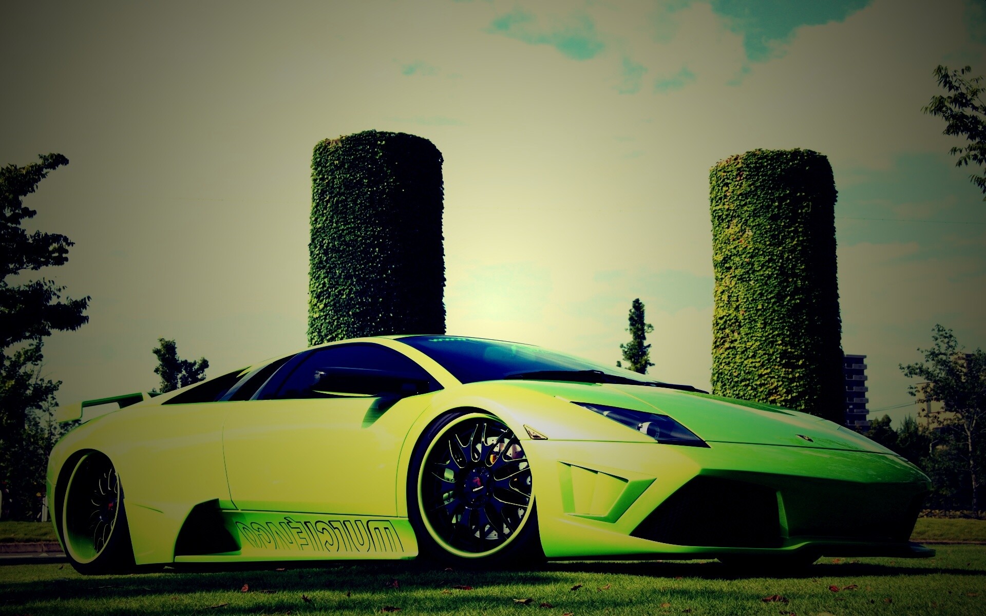 Зелёный Ламборджини на траве обои