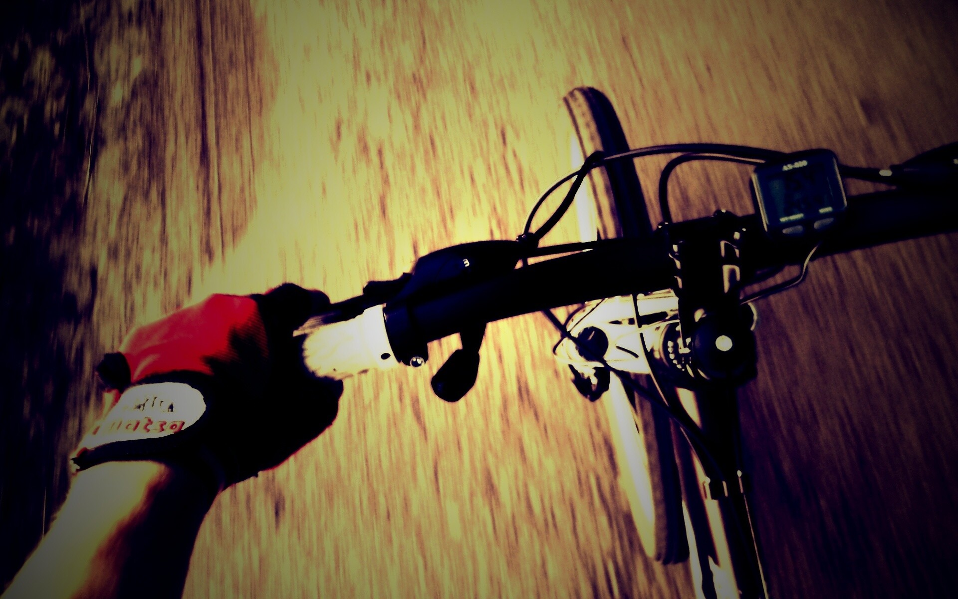 Катание на велосипеде обои