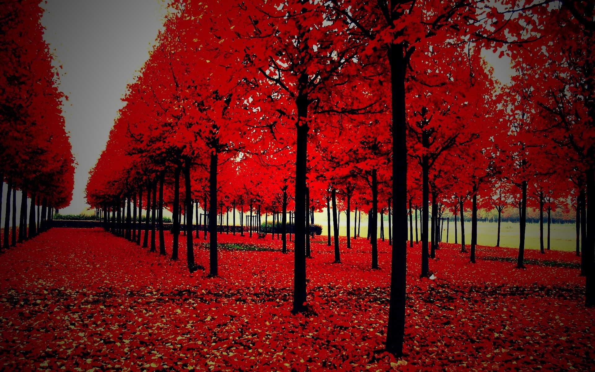 Скачать бесплатно осень обои