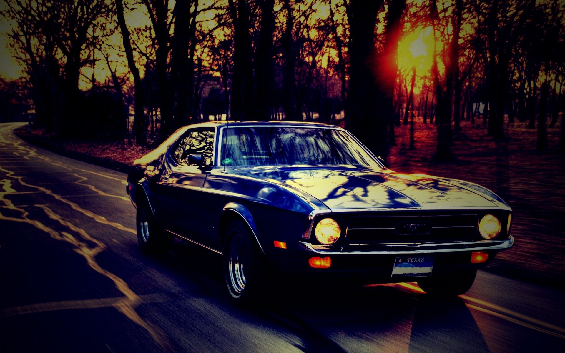 Мустанг обои