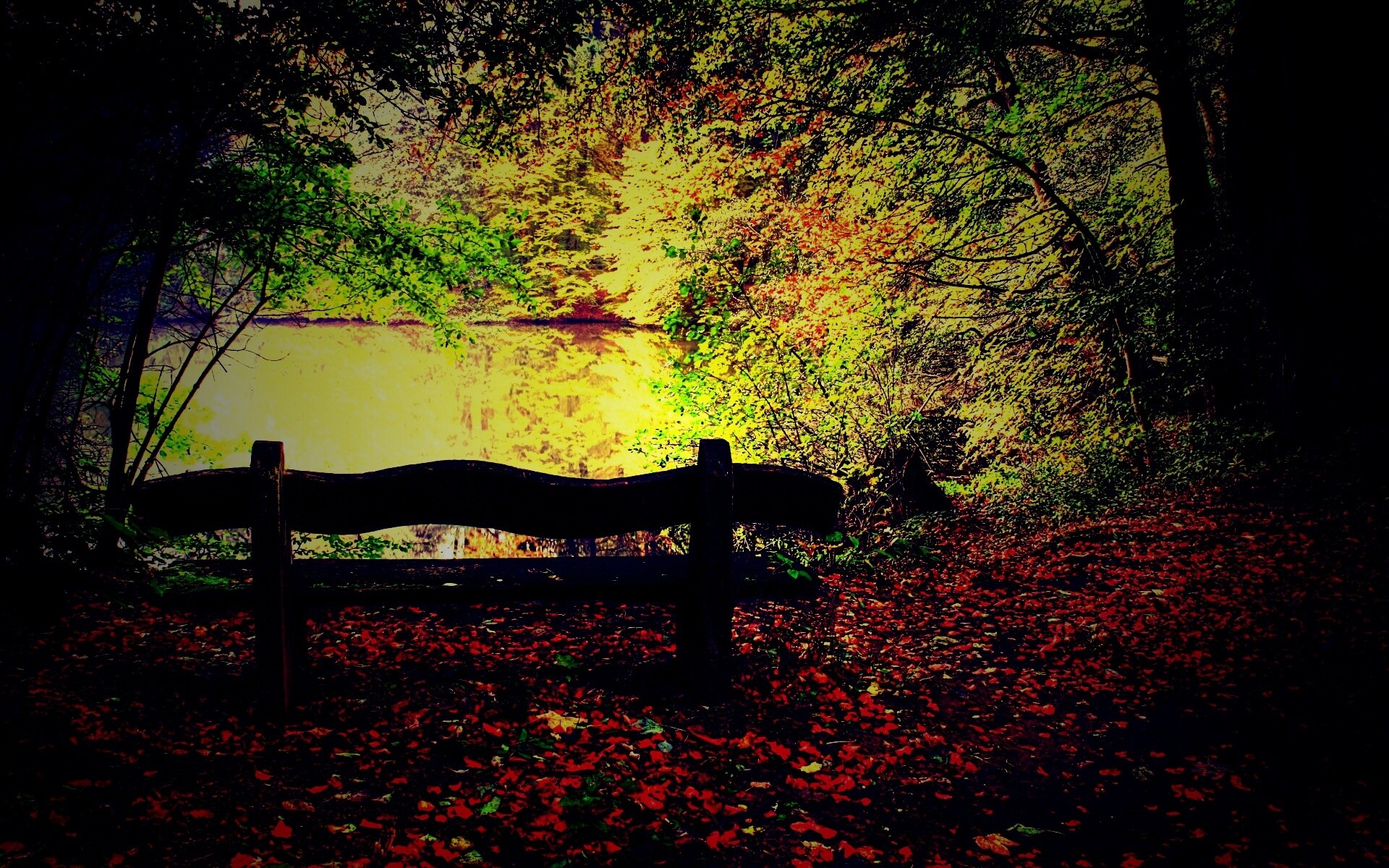 Скамейка в лесу обои