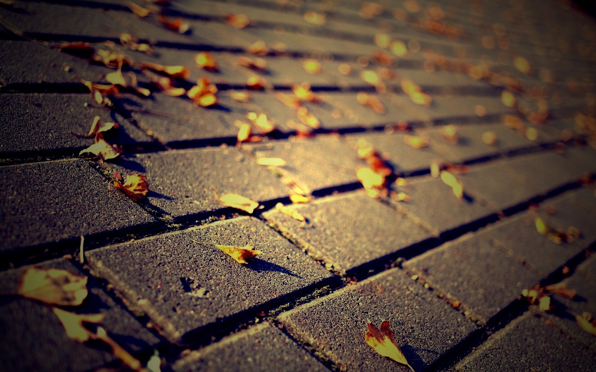 Тротуар обои