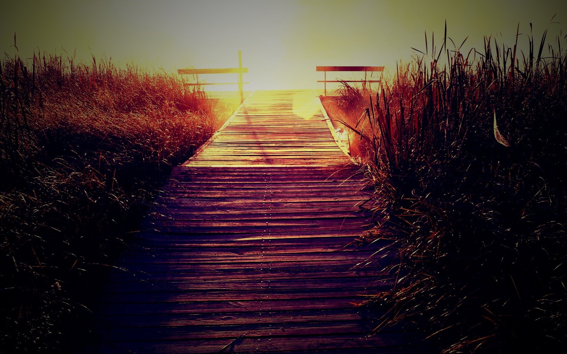 Выход к реке обои