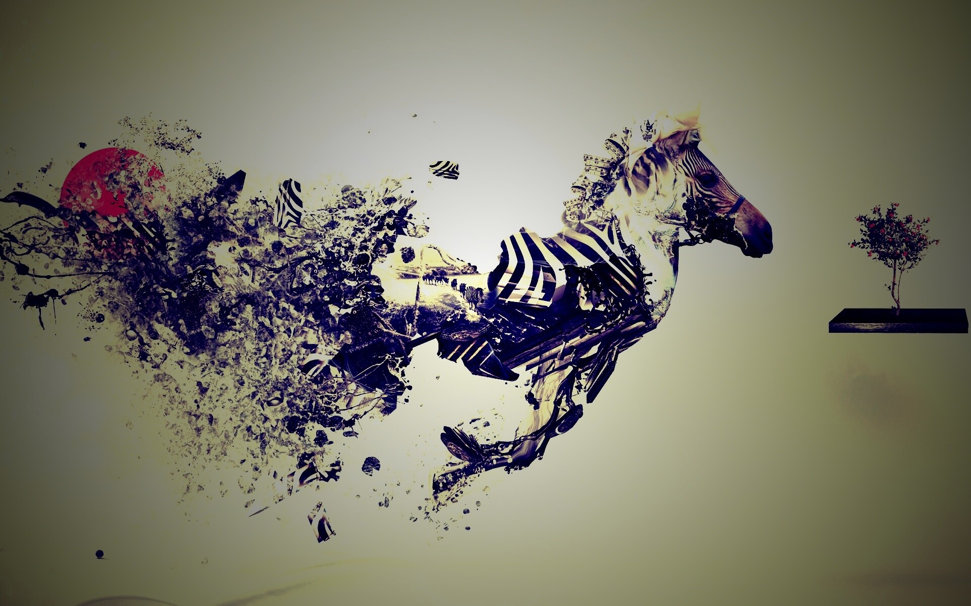 Зебра и бонсай обои