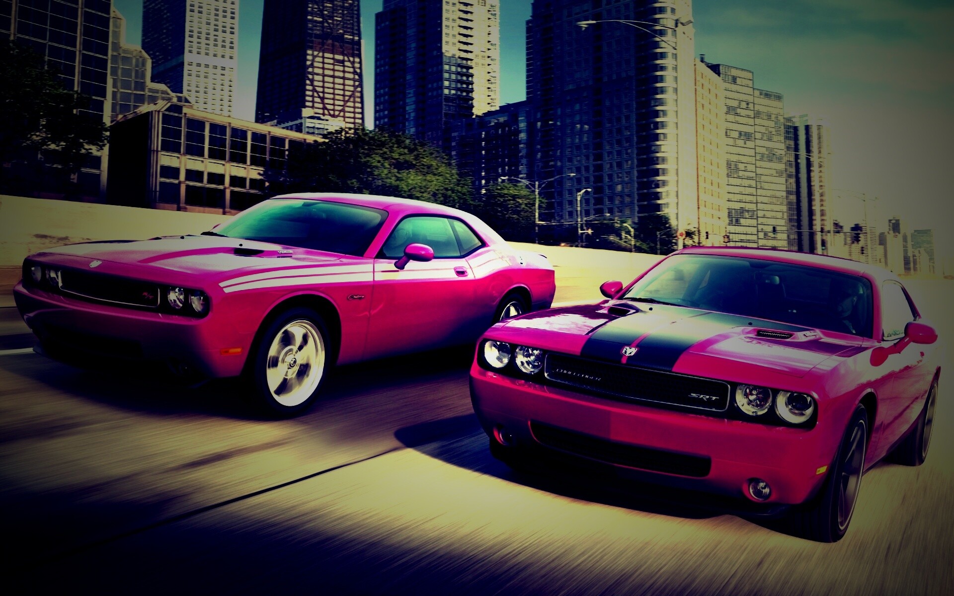 Два розовых мускулкара обои