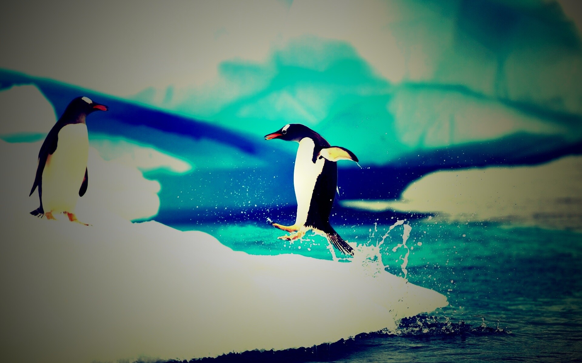 Пигвин запрыгивает на льдину обои