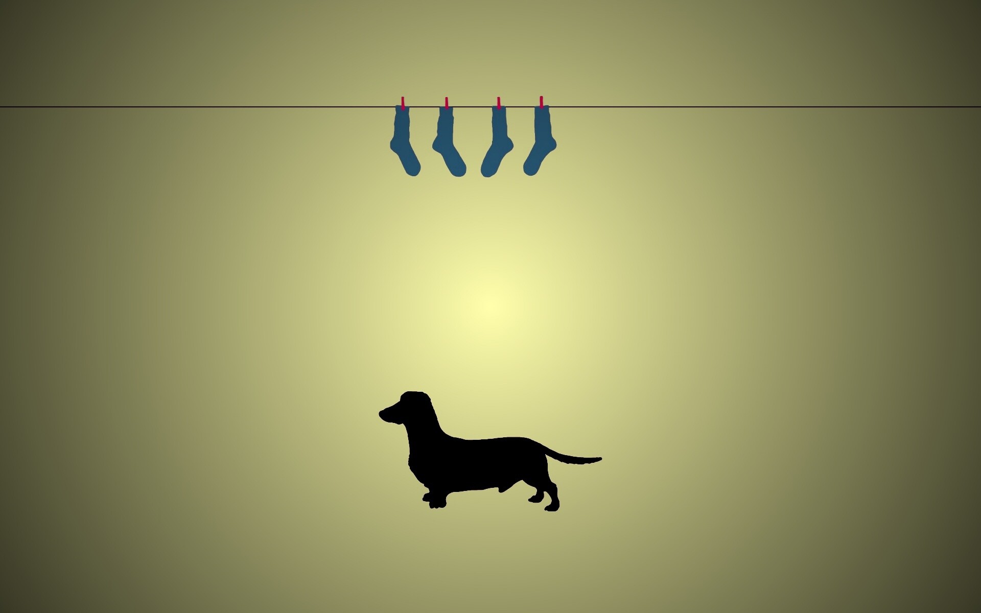 Такса и носки обои