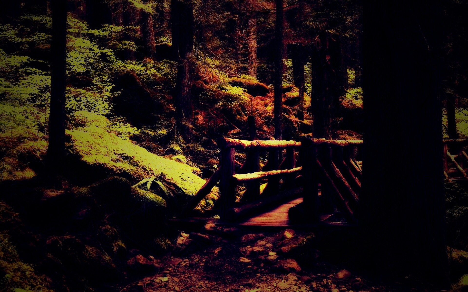 Бревенчатый мост в лесу обои