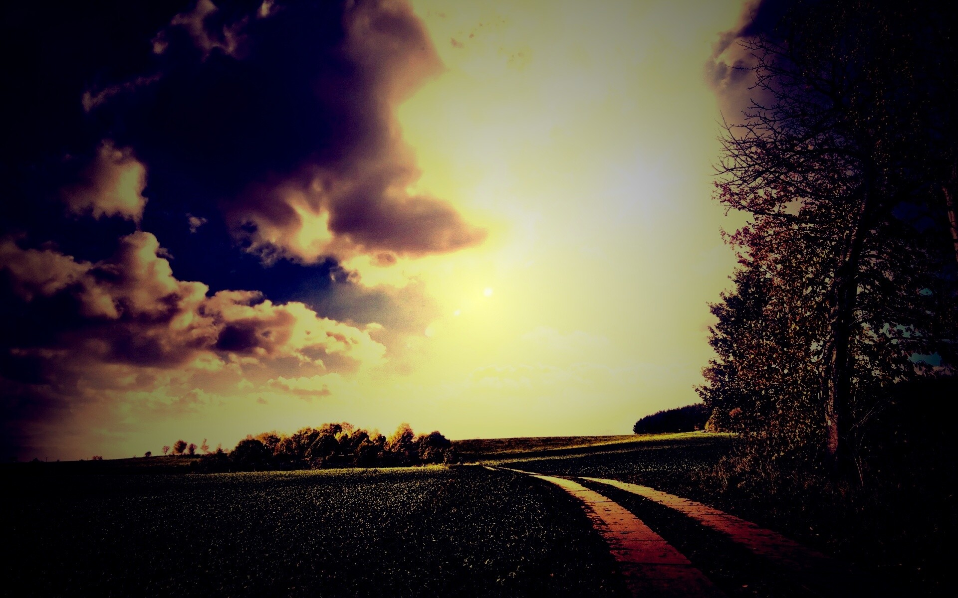 Солнечные холмы обои