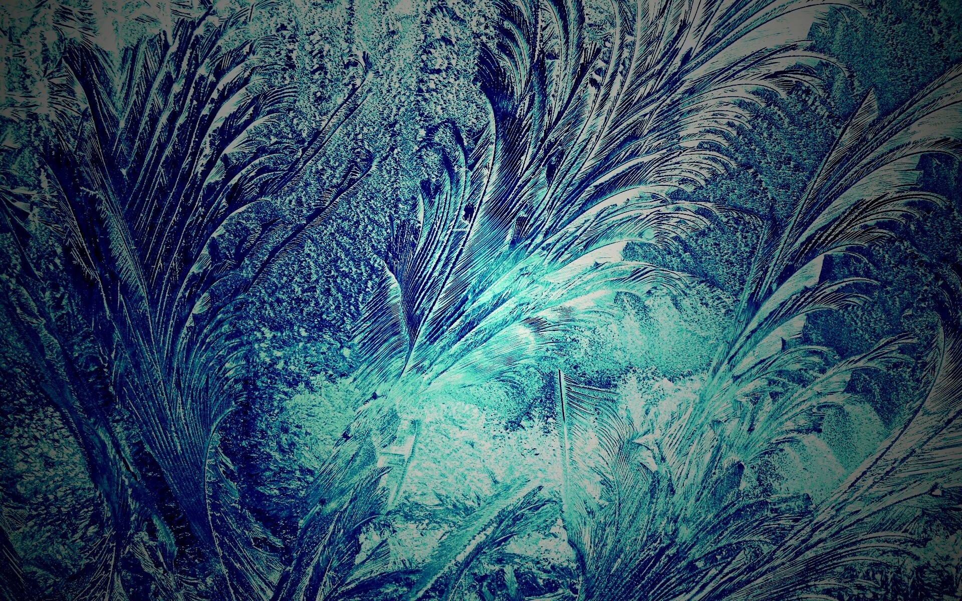 Зимние узоры обои