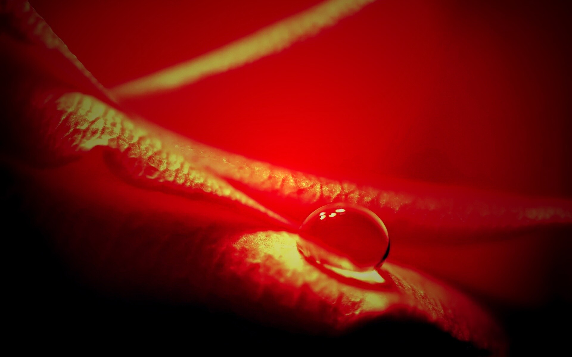 Капелька обои