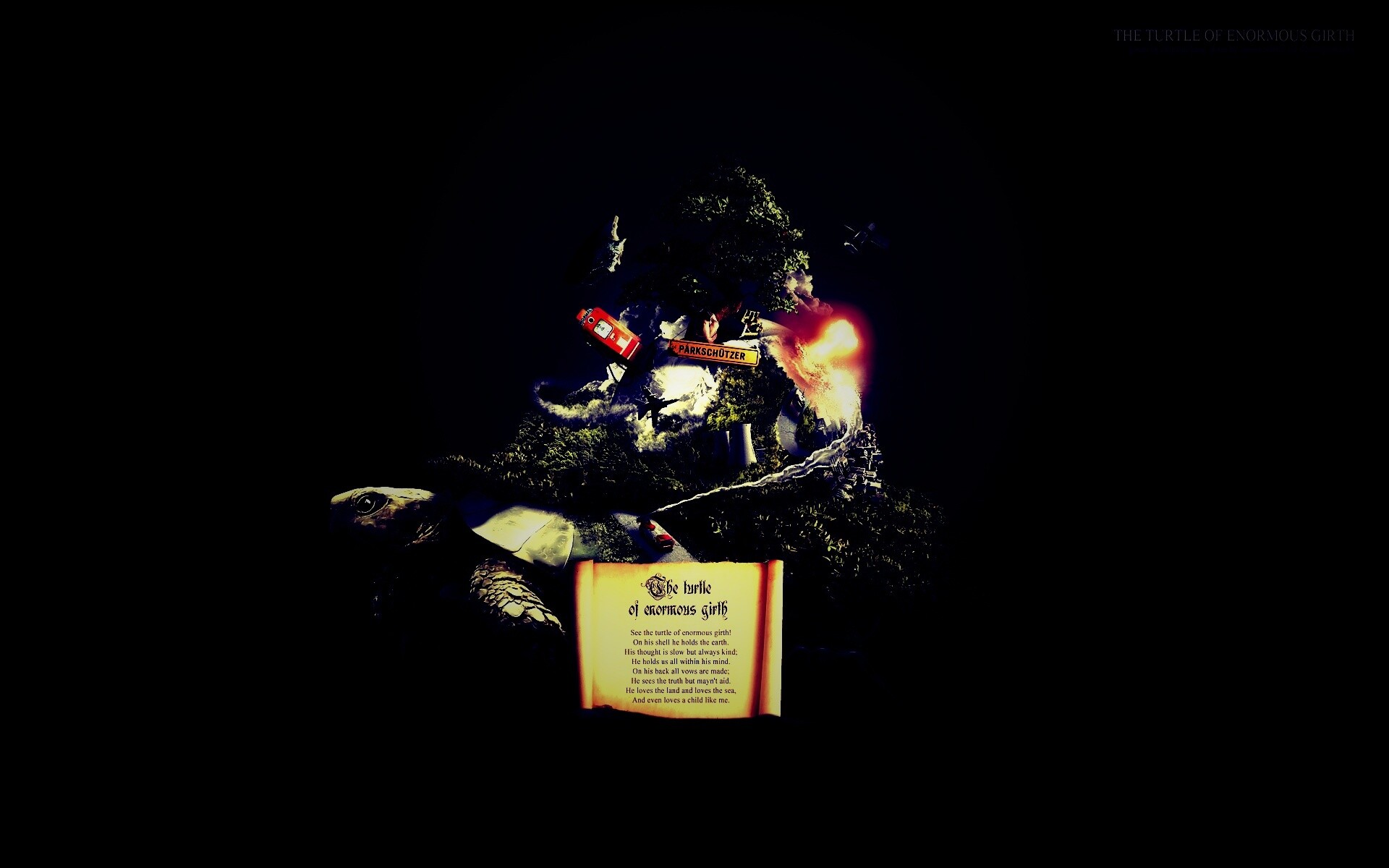 Огромная в обхвате черепаха обои