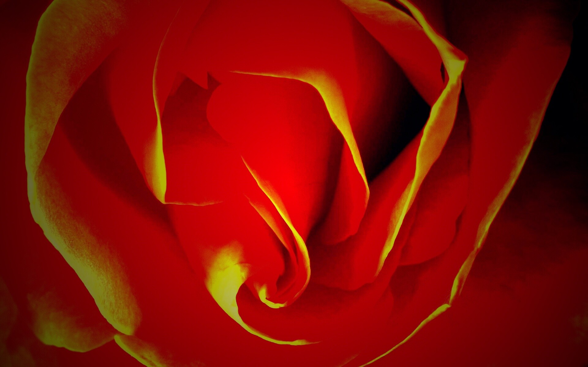 Макро фотка бутона обои