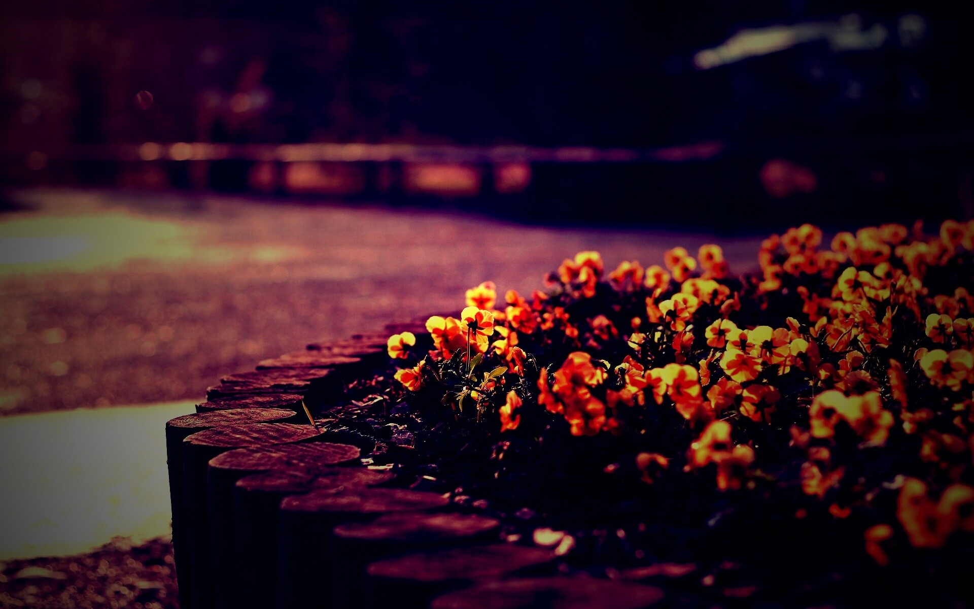 Красивая цветочная клумба обои