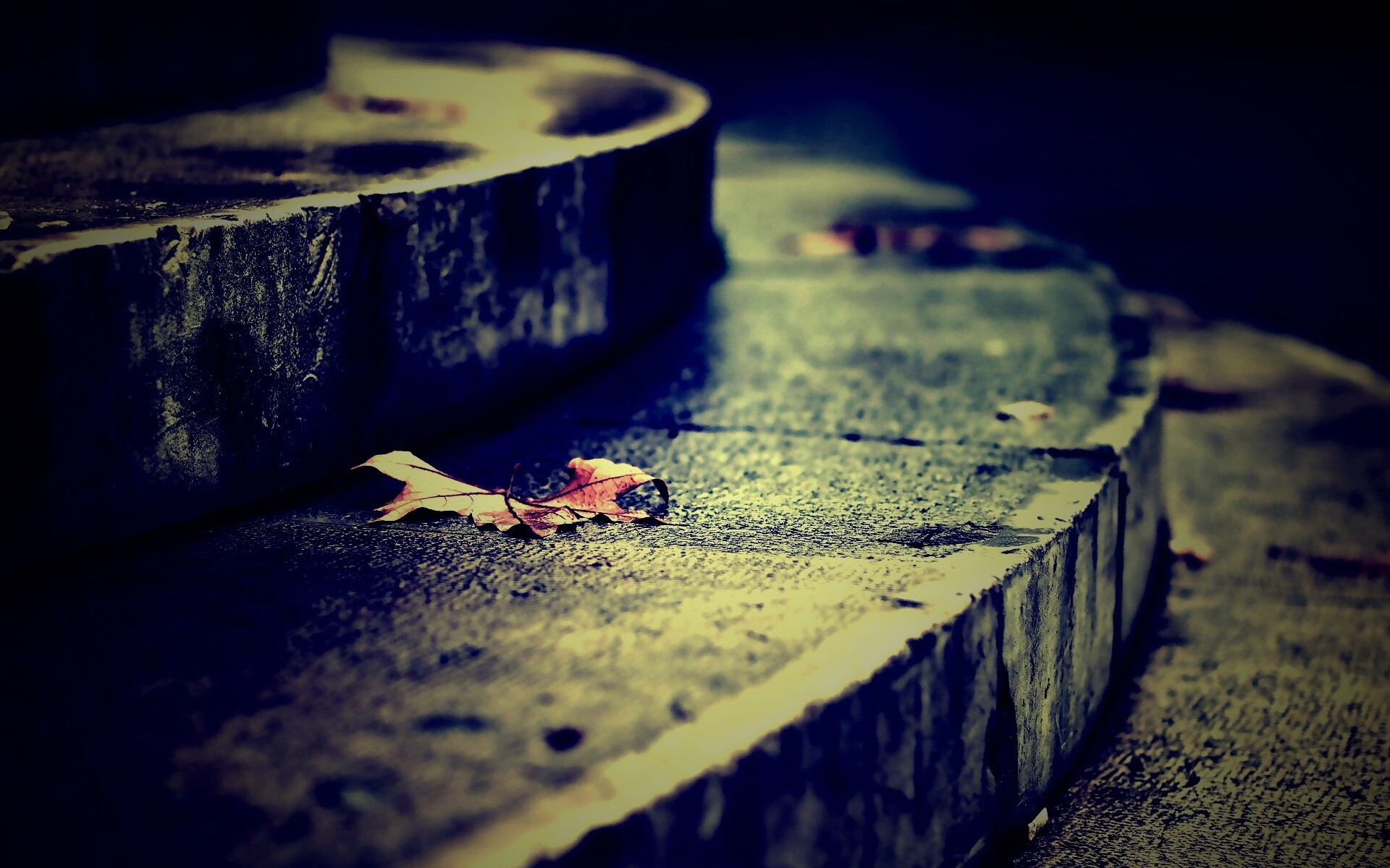 Лист на ступеньках обои