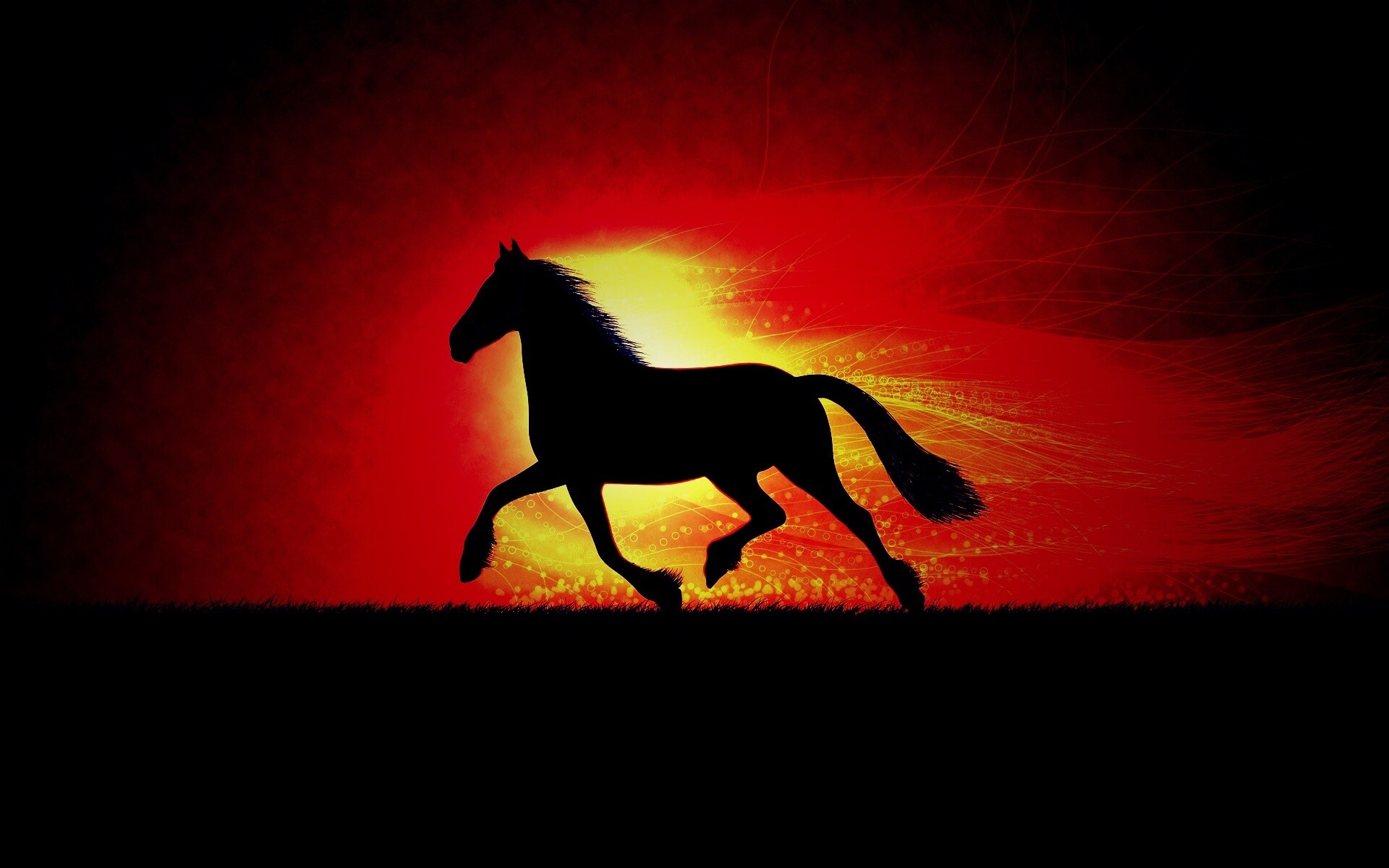 Силует коня на закате обои