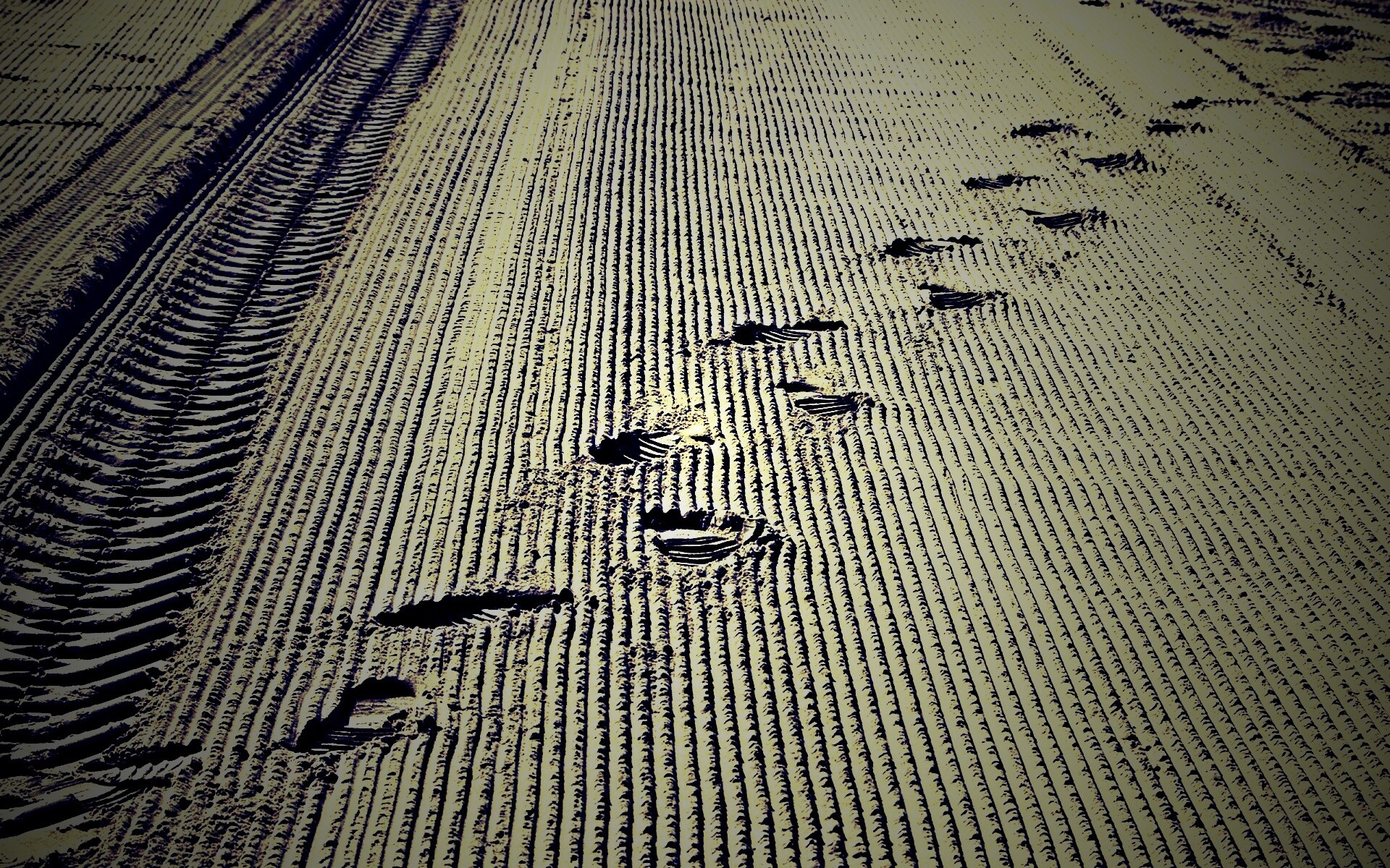 Следы на песке обои