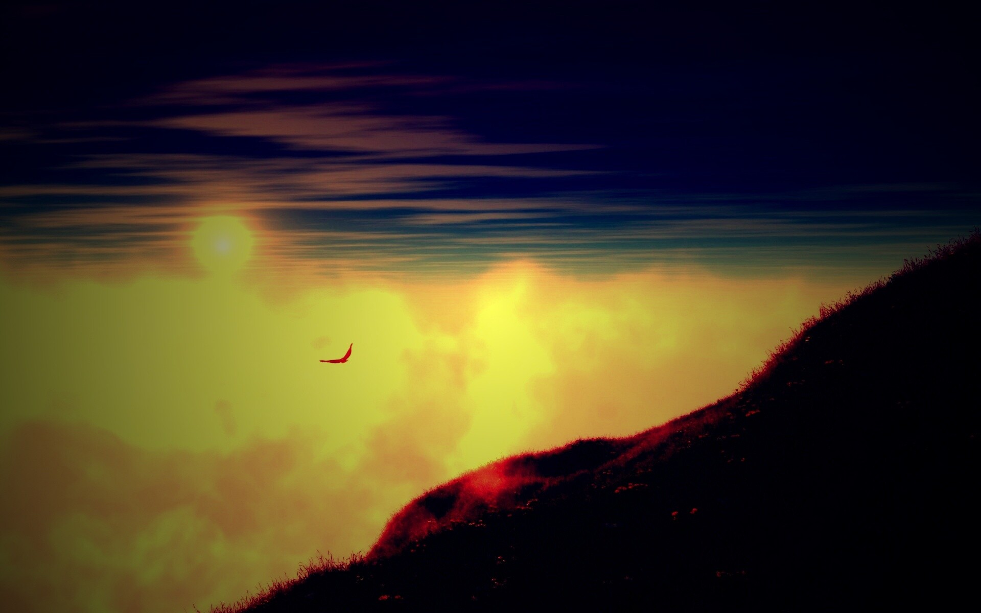 Птица парит над туманом обои